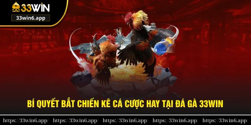 Bí quyết bắt chiến kê cá cược hay tại đá gà 33win