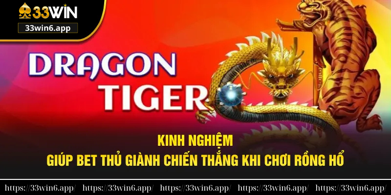 Mẹo giúp bet thủ giành chiến thắng khi chơi Rồng hổ